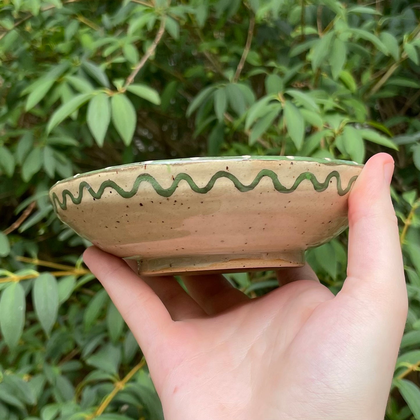 green brown butterfly kawaii ceramic stoneware plate!