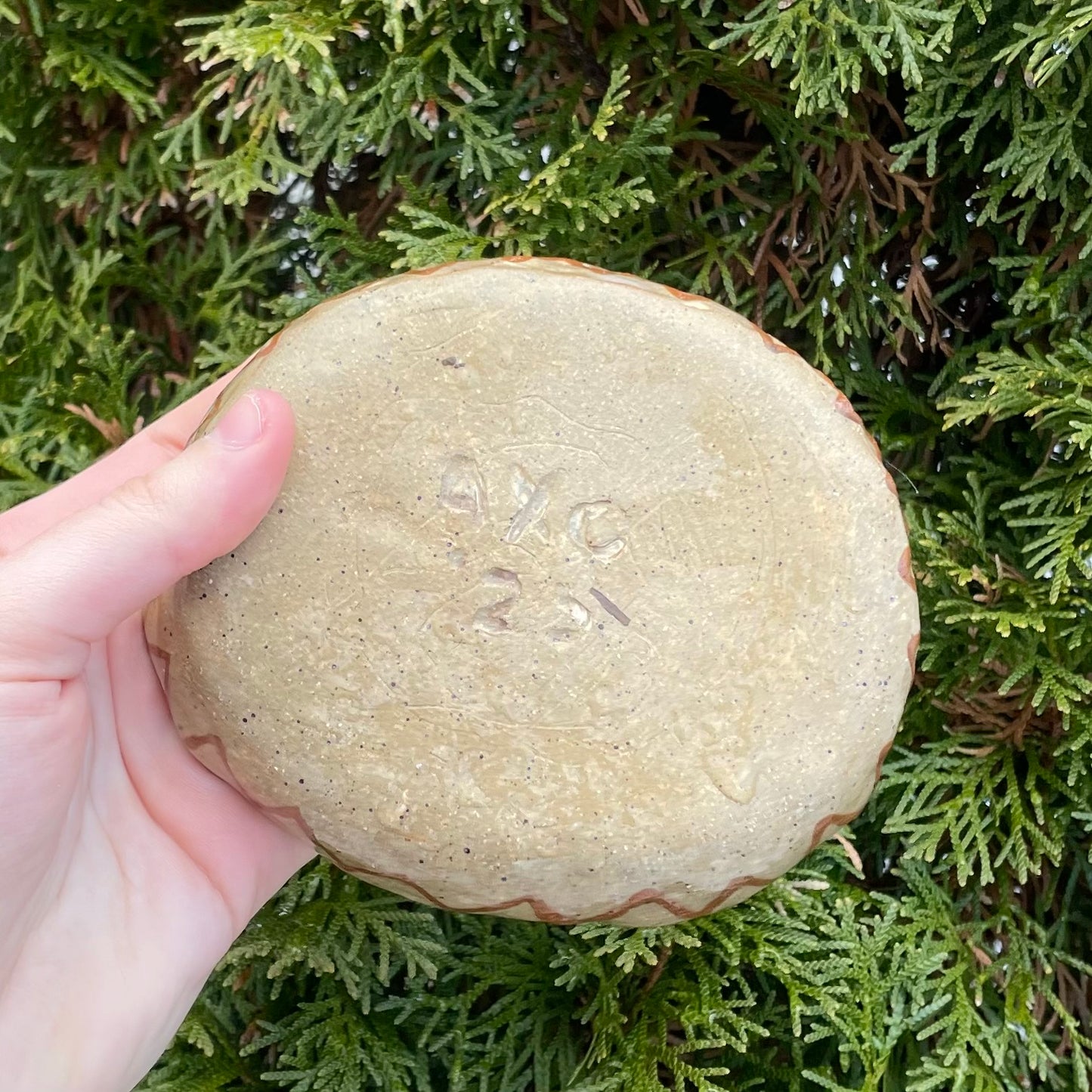 teal brown kitty cat handmade ceramic stoneware bowl!