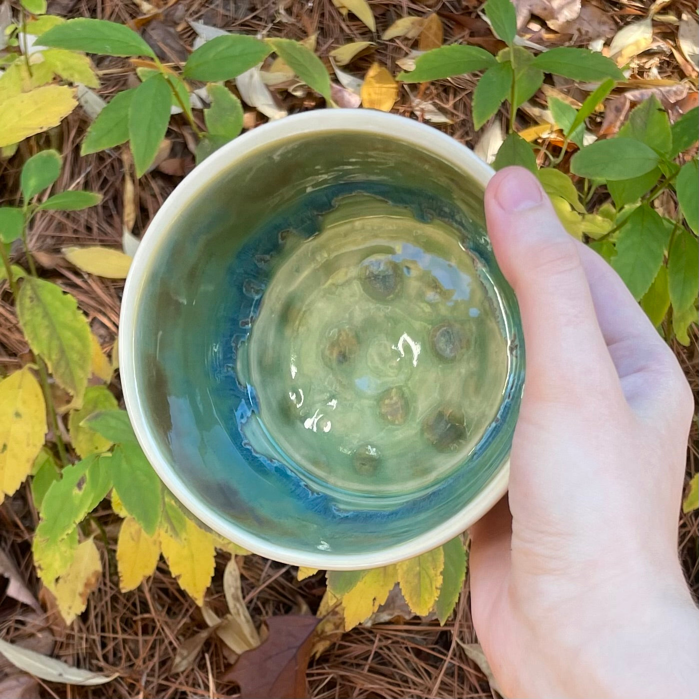green brown puppy kitty wheel thrown ceramic stoneware dish!
