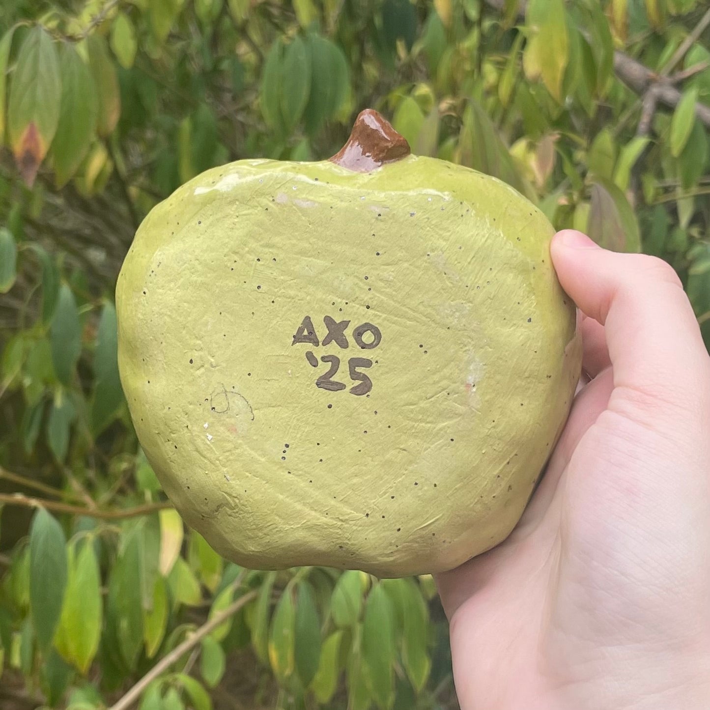 green apple handmade large ceramic stoneware trinket dish!