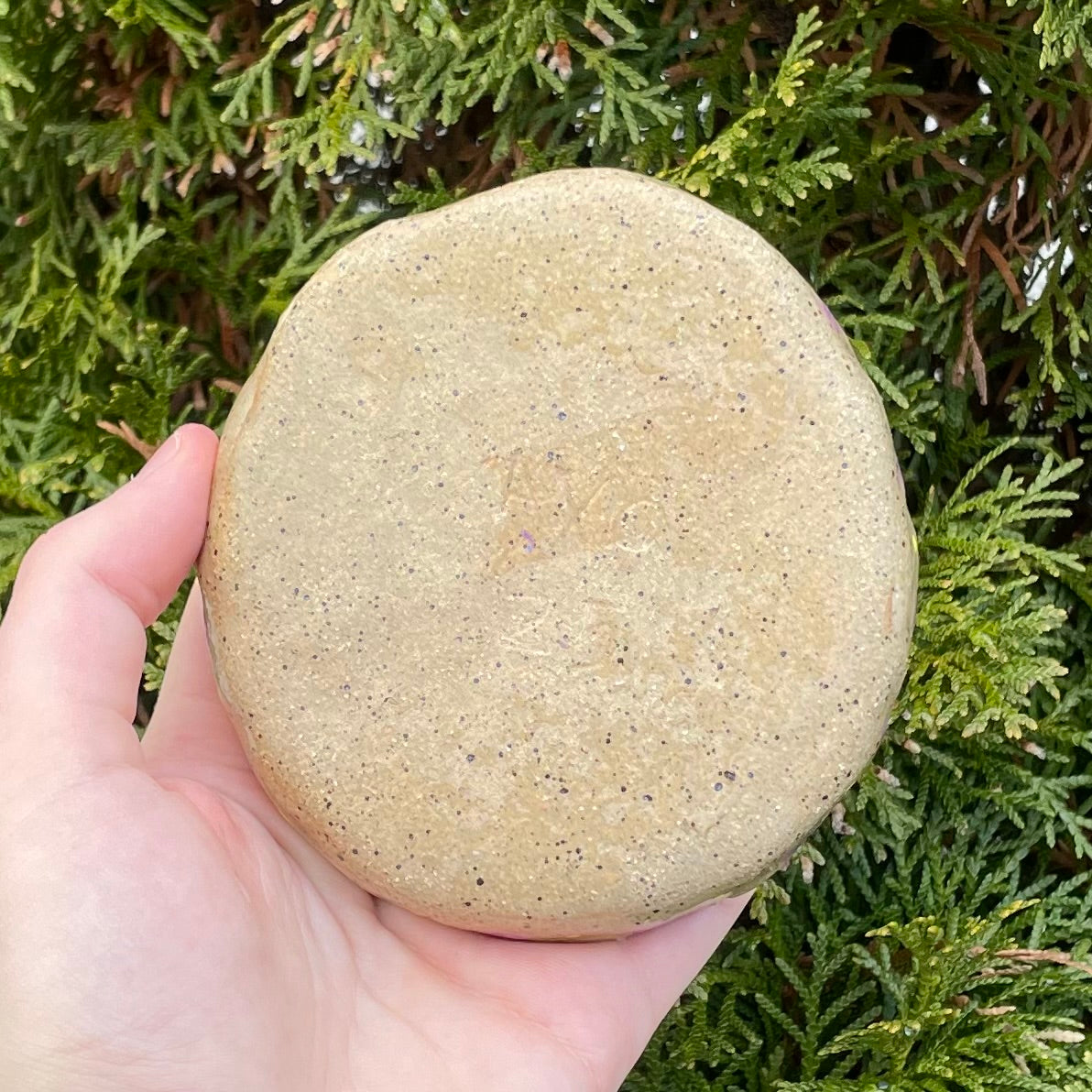 purple yellow puppy dog handmade ceramic stoneware bowl!