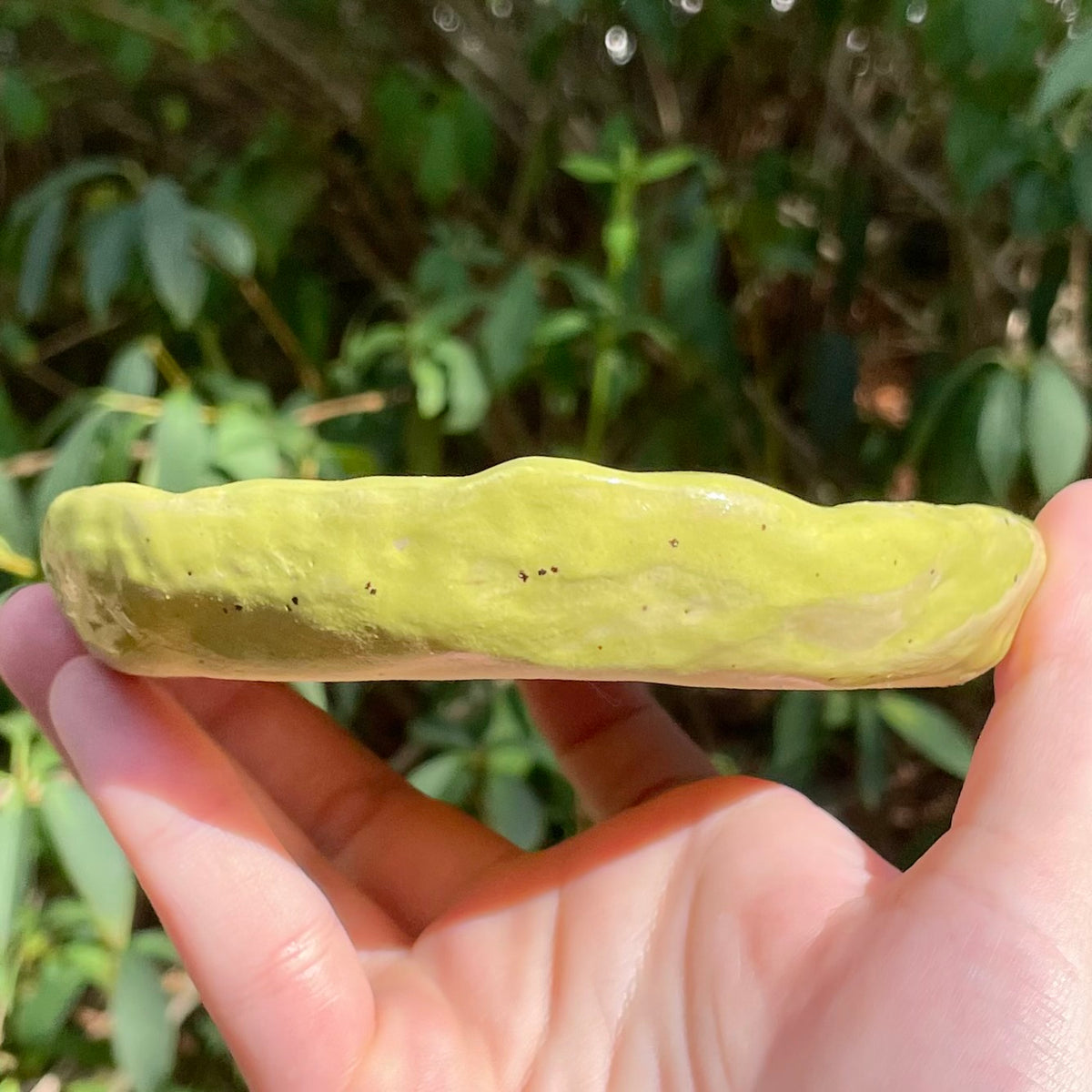 large green apple handmade ceramic stoneware trinket dish!