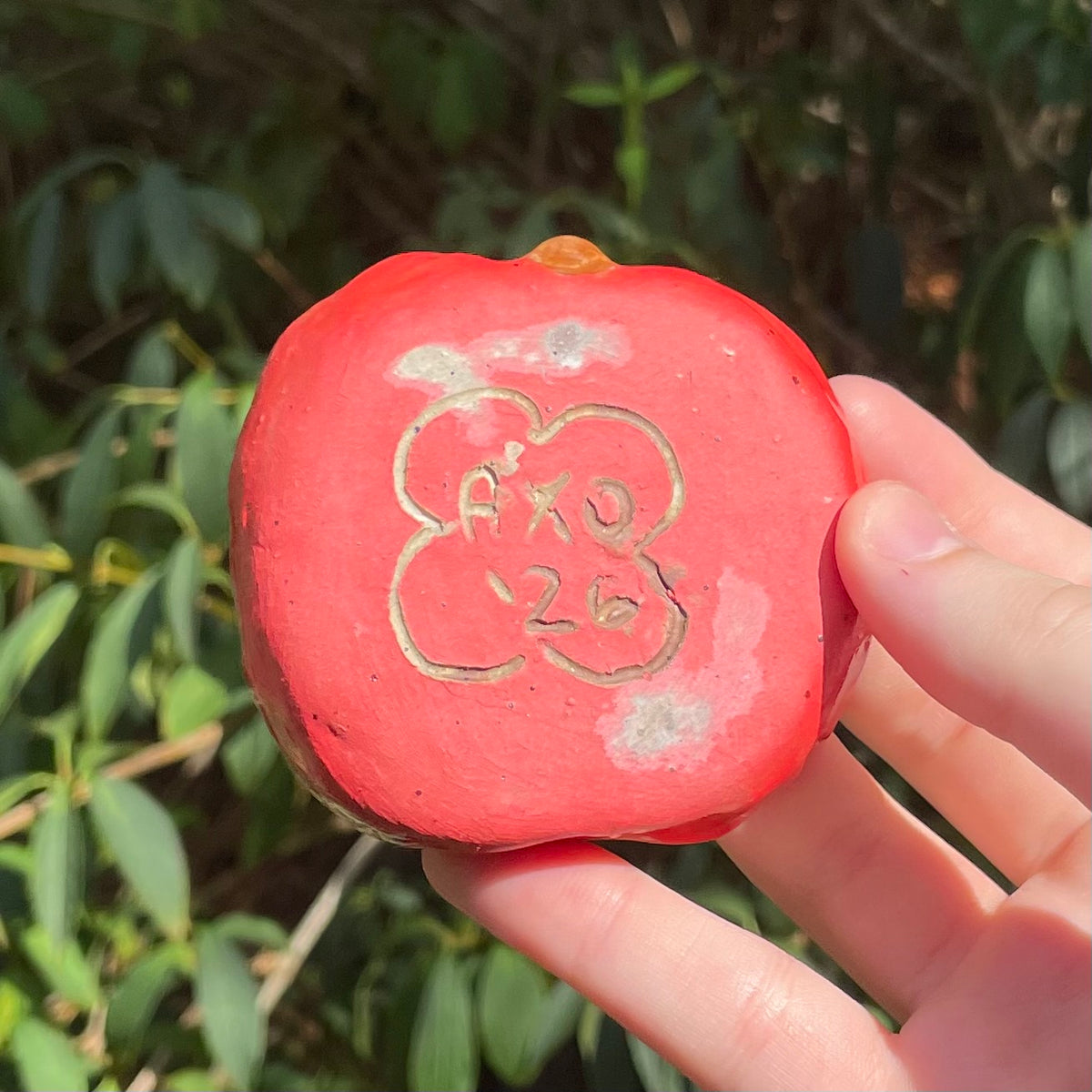 small red apple handmade ceramic stoneware trinket dish!