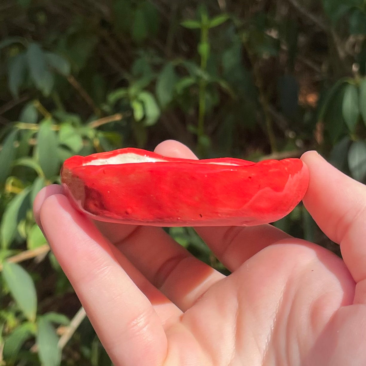 small red apple handmade ceramic stoneware trinket dish!