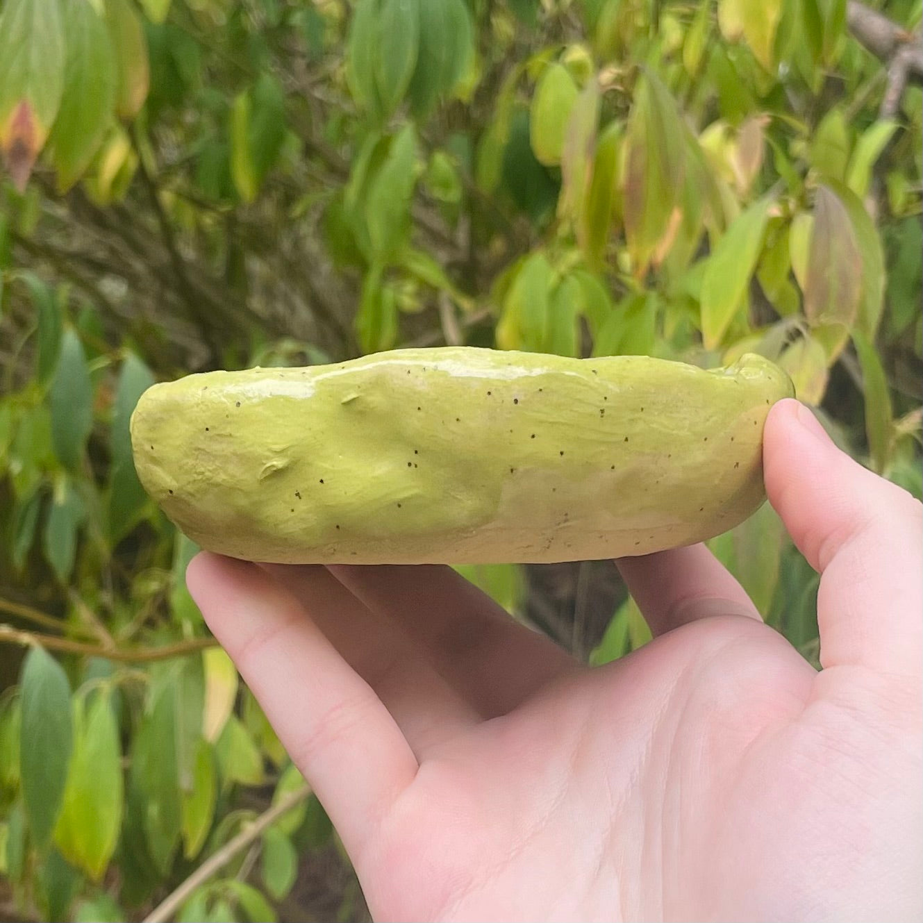 green apple handmade large ceramic stoneware trinket dish!